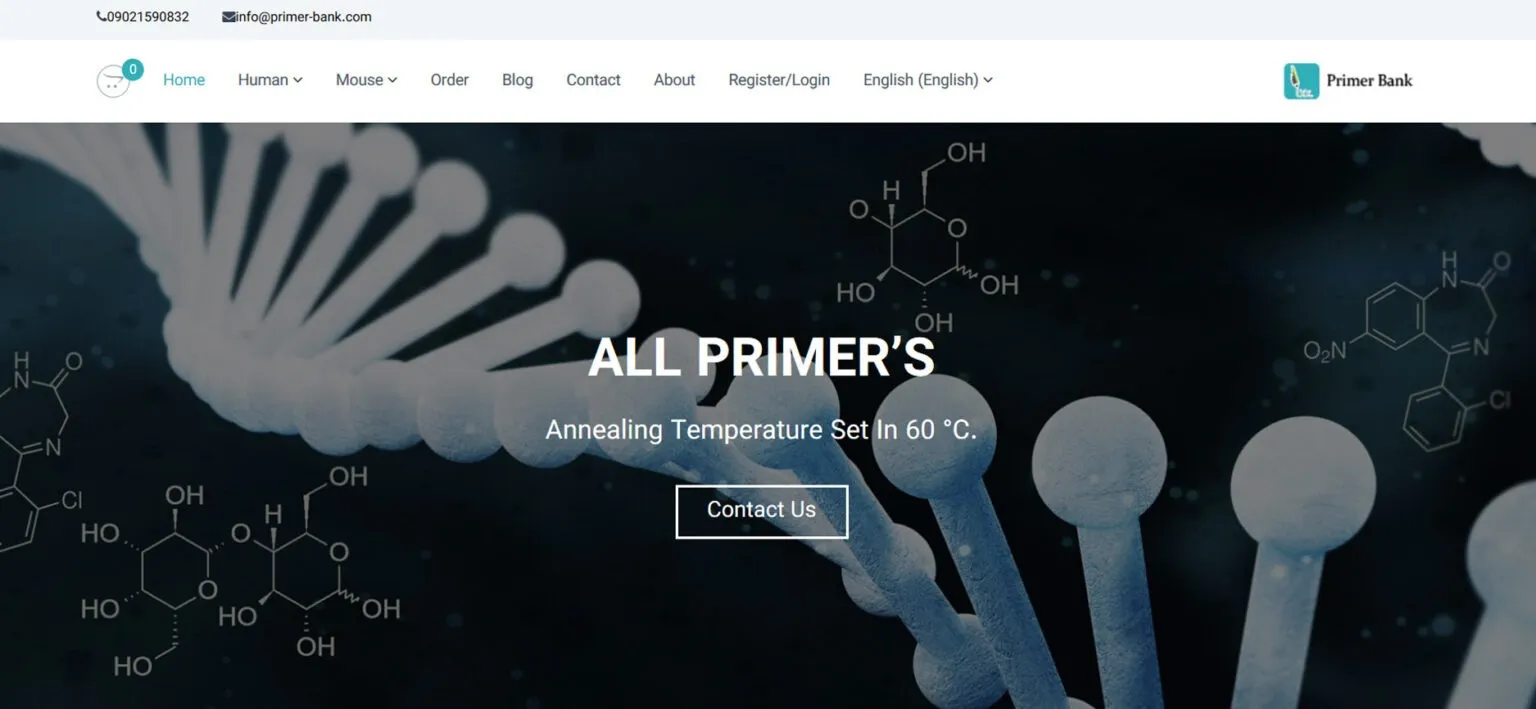 بانک-پرایمر-1536x709-1